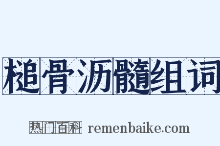 槌骨沥髓组词是什么意思的图片